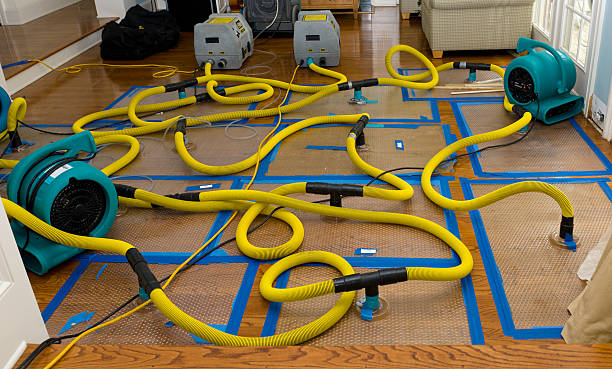 Professional Sewage Cleanup technician working in Paxton, MA